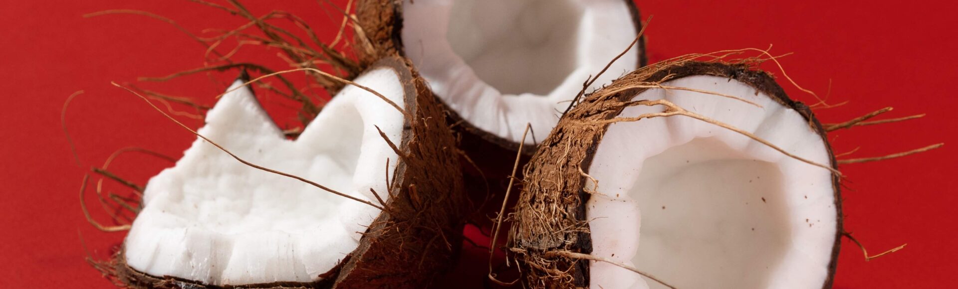 Coconut Meat Processing